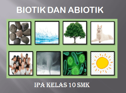 Detail Contoh Gambar Abiotik Nomer 25