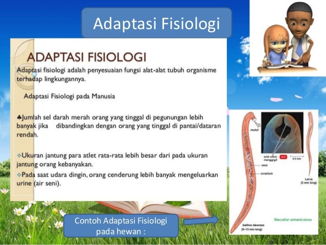 Detail Contoh Gambar Adaptasi Fisiologi Nomer 30