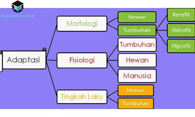 Detail Contoh Gambar Adaptasi Morfologi Nomer 44