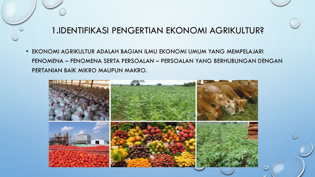 Detail Contoh Gambar Agrikultur Nomer 11