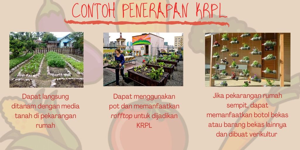 Detail Contoh Gambar Agrikultur Nomer 21