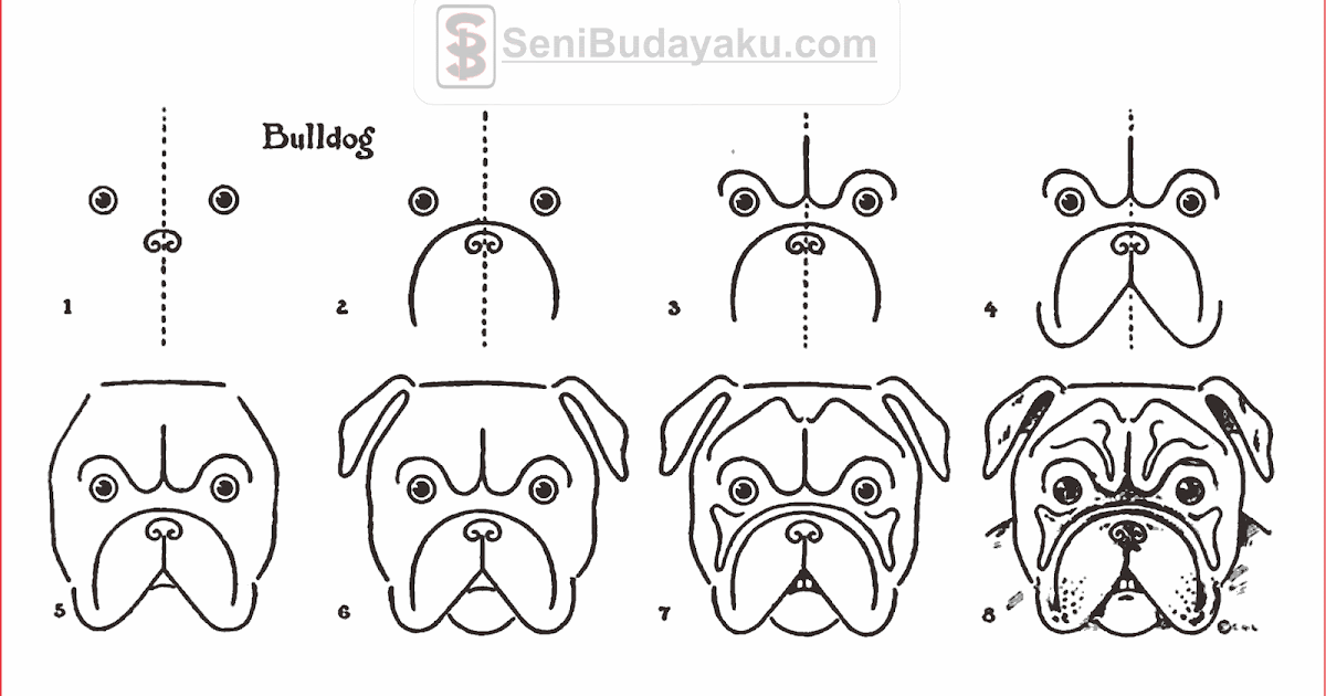 Detail Contoh Gambar Anjing Nomer 31