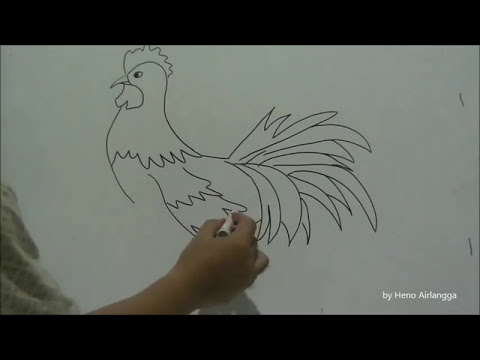 Detail Contoh Gambar Ayam Nomer 29