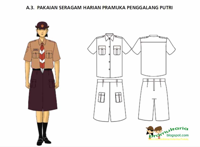 Detail Contoh Gambar Baju Pramuka Penggalang Nomer 12