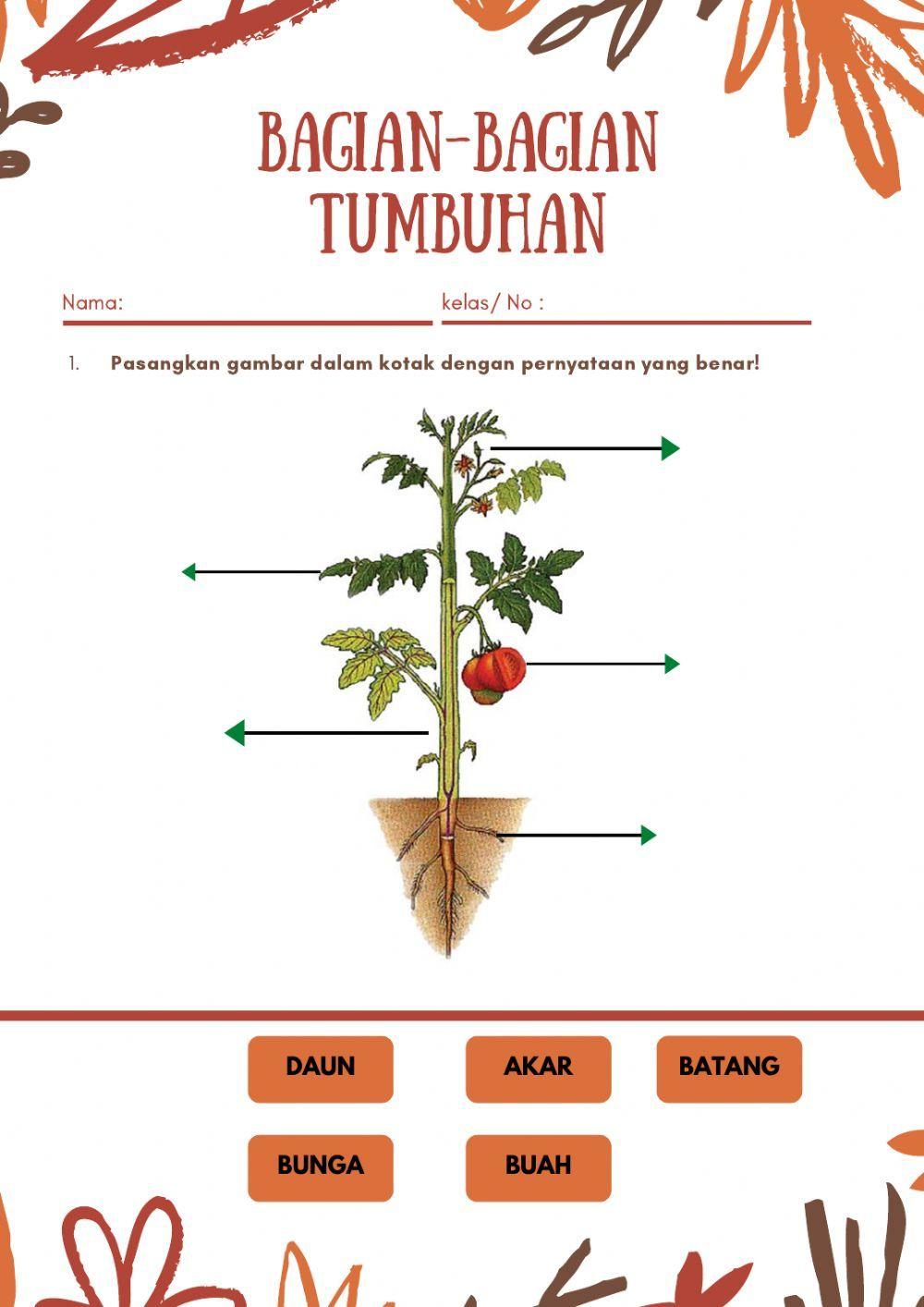 Detail Contoh Gambar Batang Nomer 54