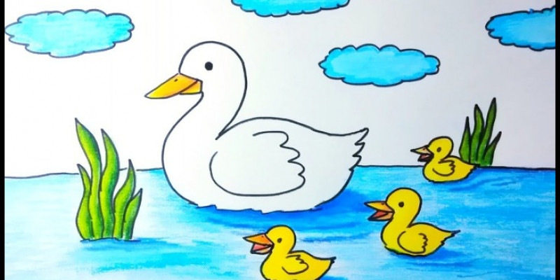 Detail Contoh Gambar Bebek Nomer 15