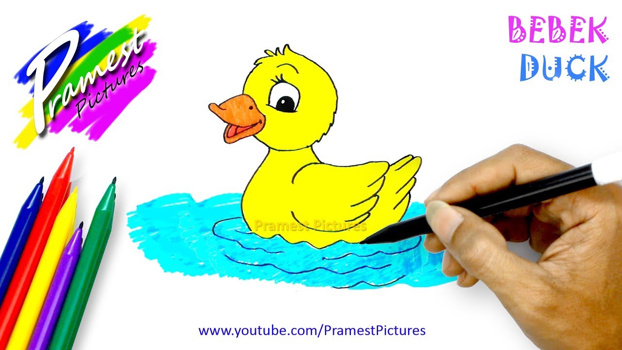 Contoh Gambar Bebek Berwarna - KibrisPDR