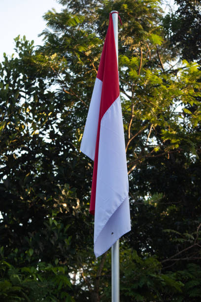 Detail Contoh Gambar Bendera Nomer 45