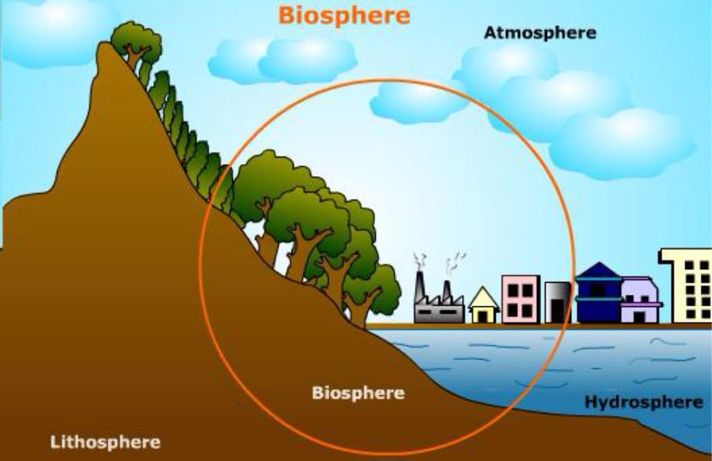 Detail Contoh Gambar Biosfer Nomer 2