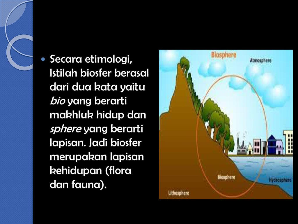 Detail Contoh Gambar Biosfer Nomer 14