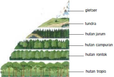 Detail Contoh Gambar Biosfer Nomer 29