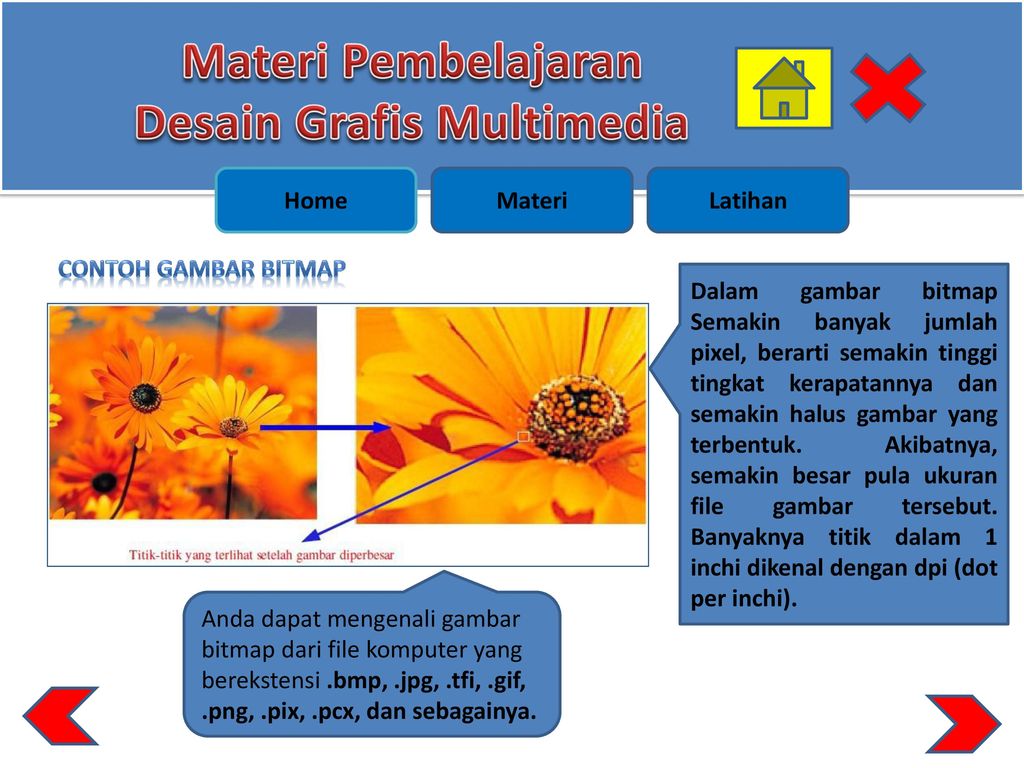 Detail Contoh Gambar Bmp Nomer 41