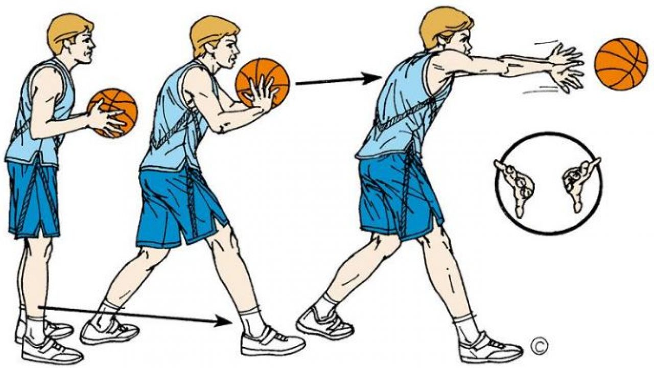Detail Contoh Gambar Bola Basket Nomer 23