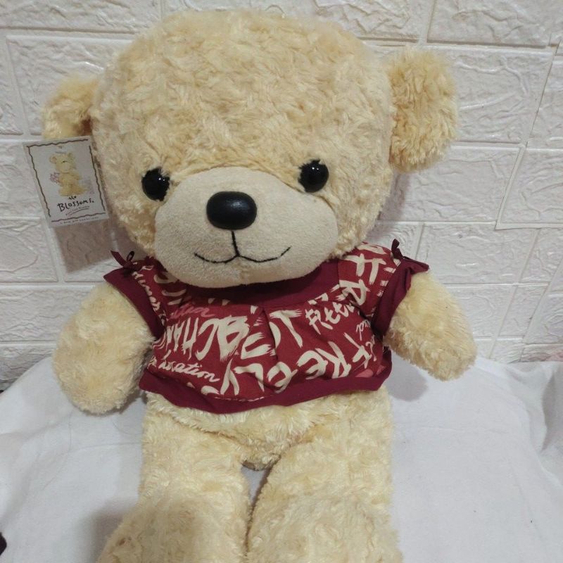 Detail Contoh Gambar Boneka Nomer 18