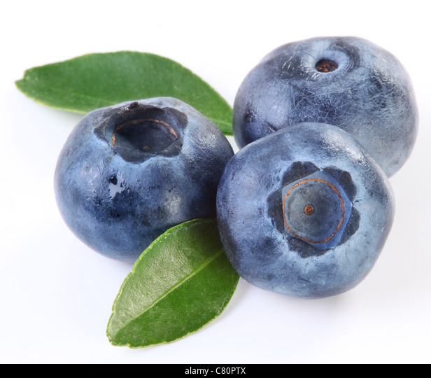 Detail Contoh Gambar Buah Blueberry Nomer 11