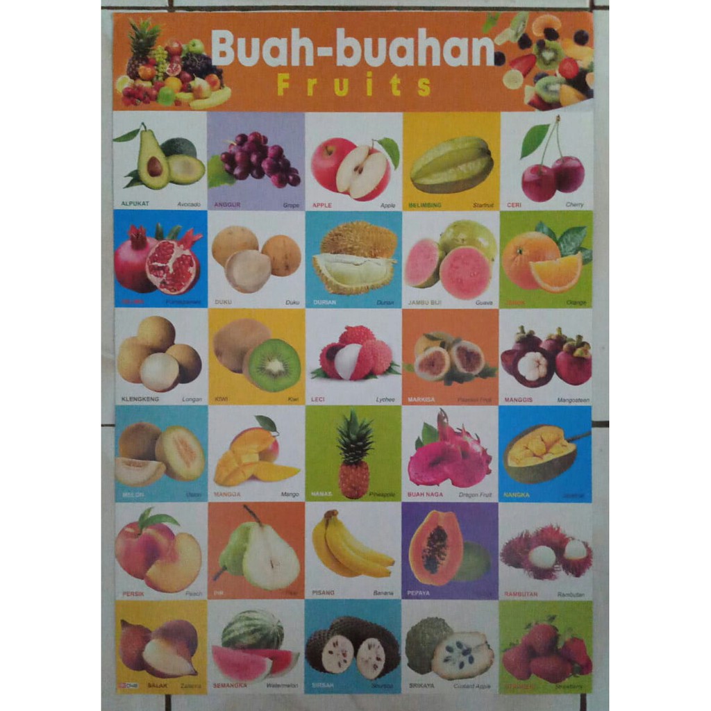 Detail Contoh Gambar Buah Buahan Nomer 33