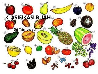 Detail Contoh Gambar Buah Buahan Nomer 48