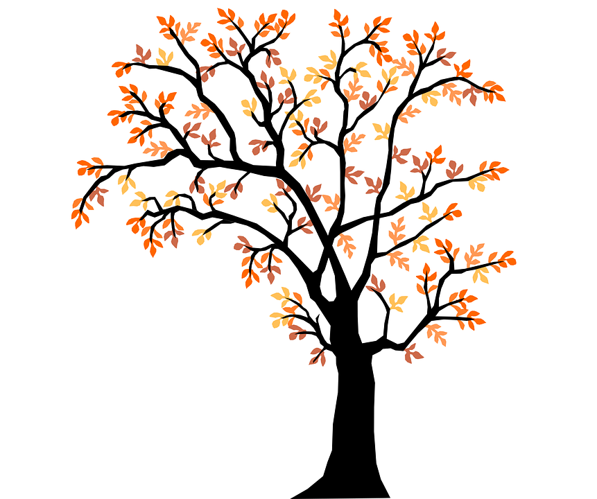 Detail Herbstbilder Baum Nomer 17