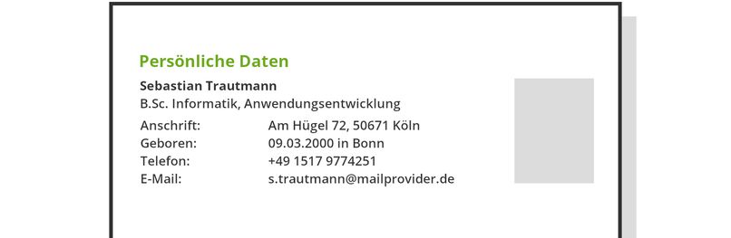 Lebenslauf Informatiker - KibrisPDR
