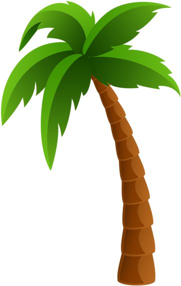 Detail Palm Lover Nomer 12