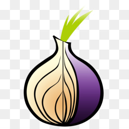 Detail Tor Browser Logo Nomer 2