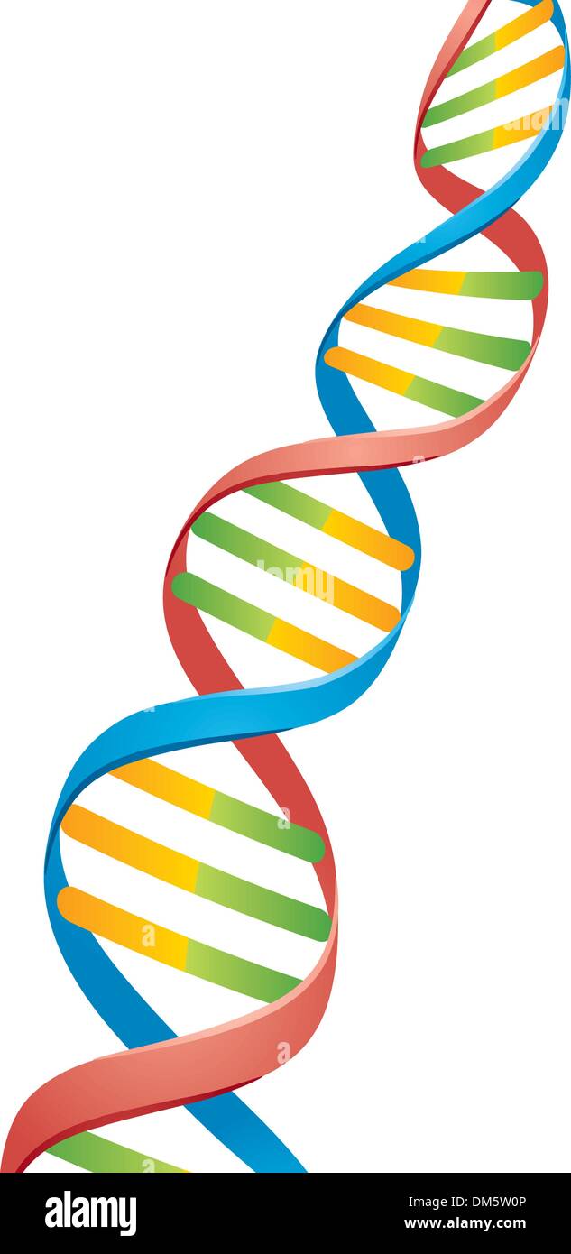 Dna Strang - KibrisPDR