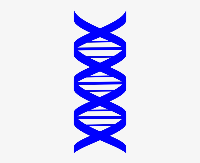 Detail Dna Strang Nomer 3