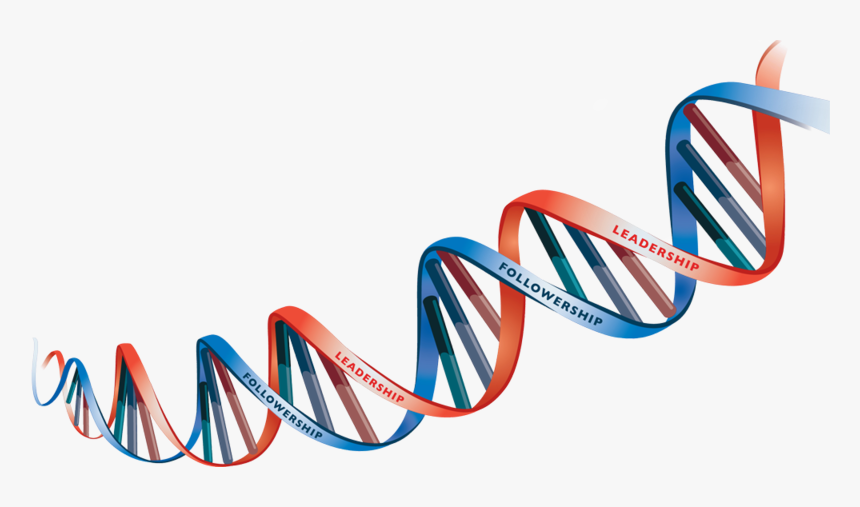 Detail Dna Strang Nomer 4