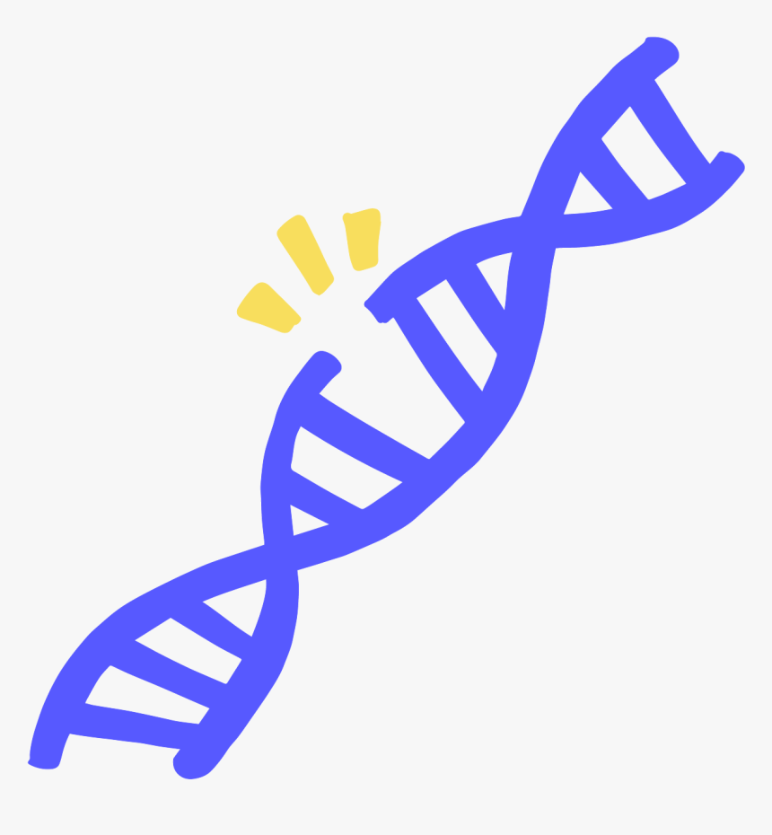 Detail Dna Strang Nomer 6