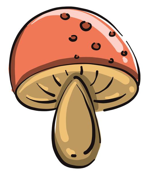 Detail Gefrorene Champignons Nomer 3