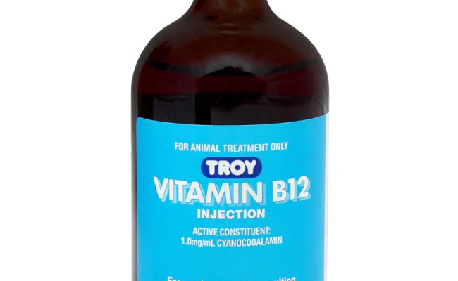 Detail Vitamin B12 Injektion Nomer 14