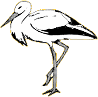 Detail Vorlage Storch Nomer 17