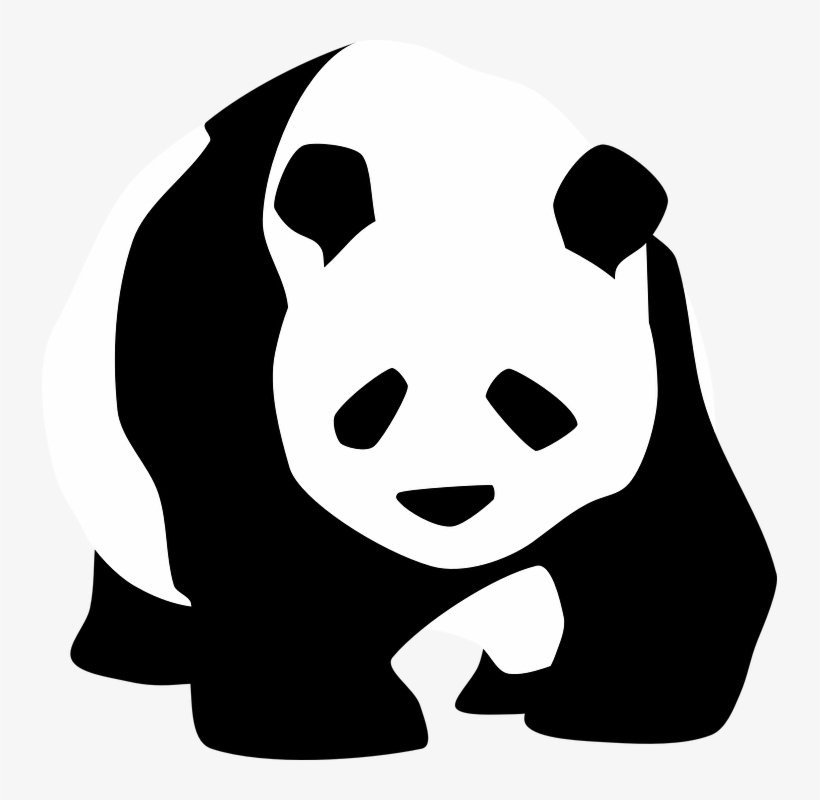 Chinesischer Panda - KibrisPDR