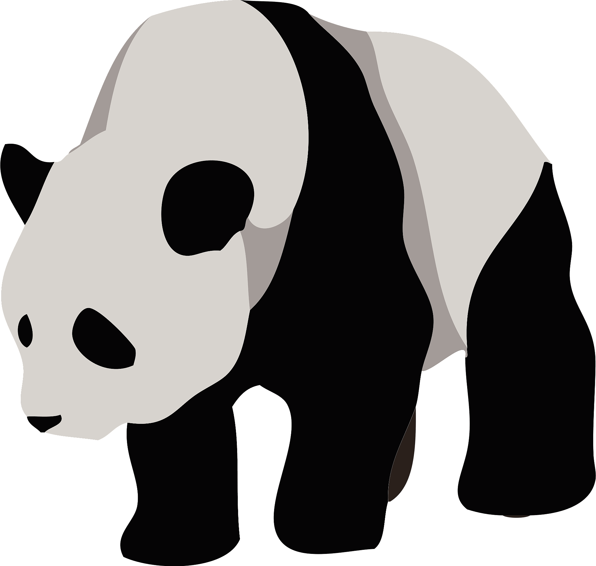 Detail Chinesischer Panda Nomer 10