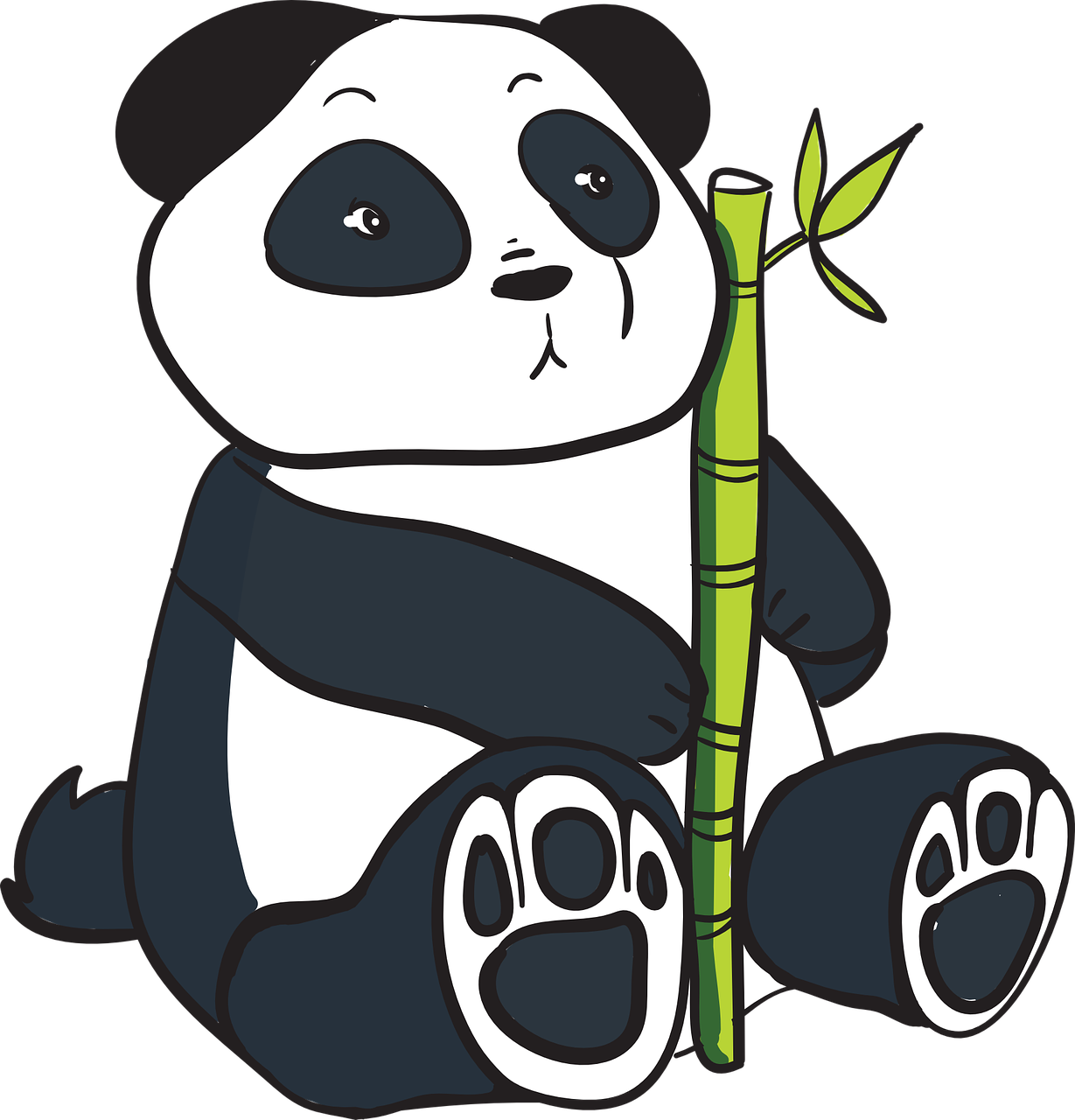 Detail Chinesischer Panda Nomer 5