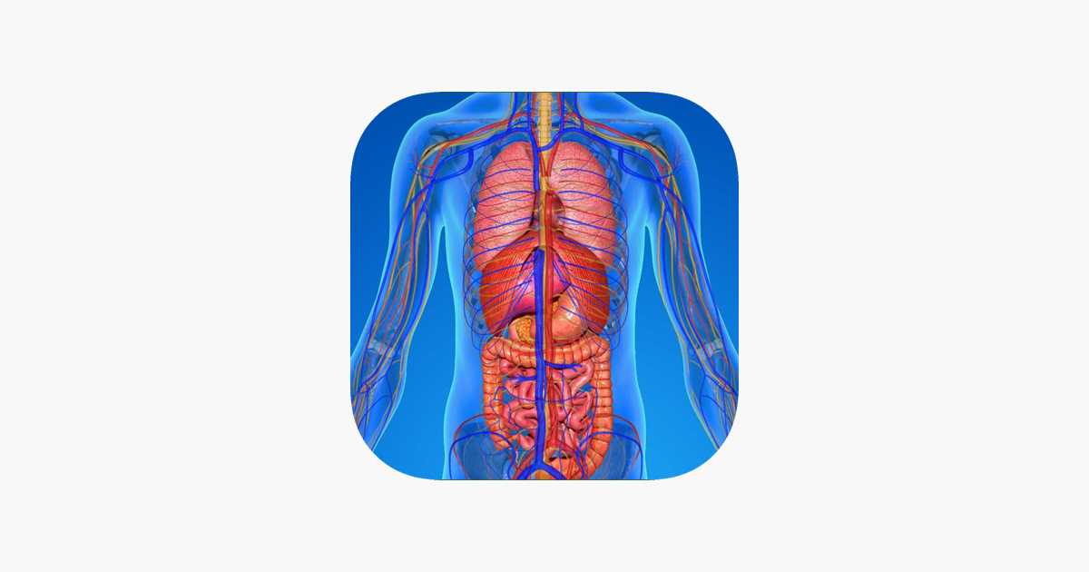 Detail Der Mensch Anatomie Nomer 9