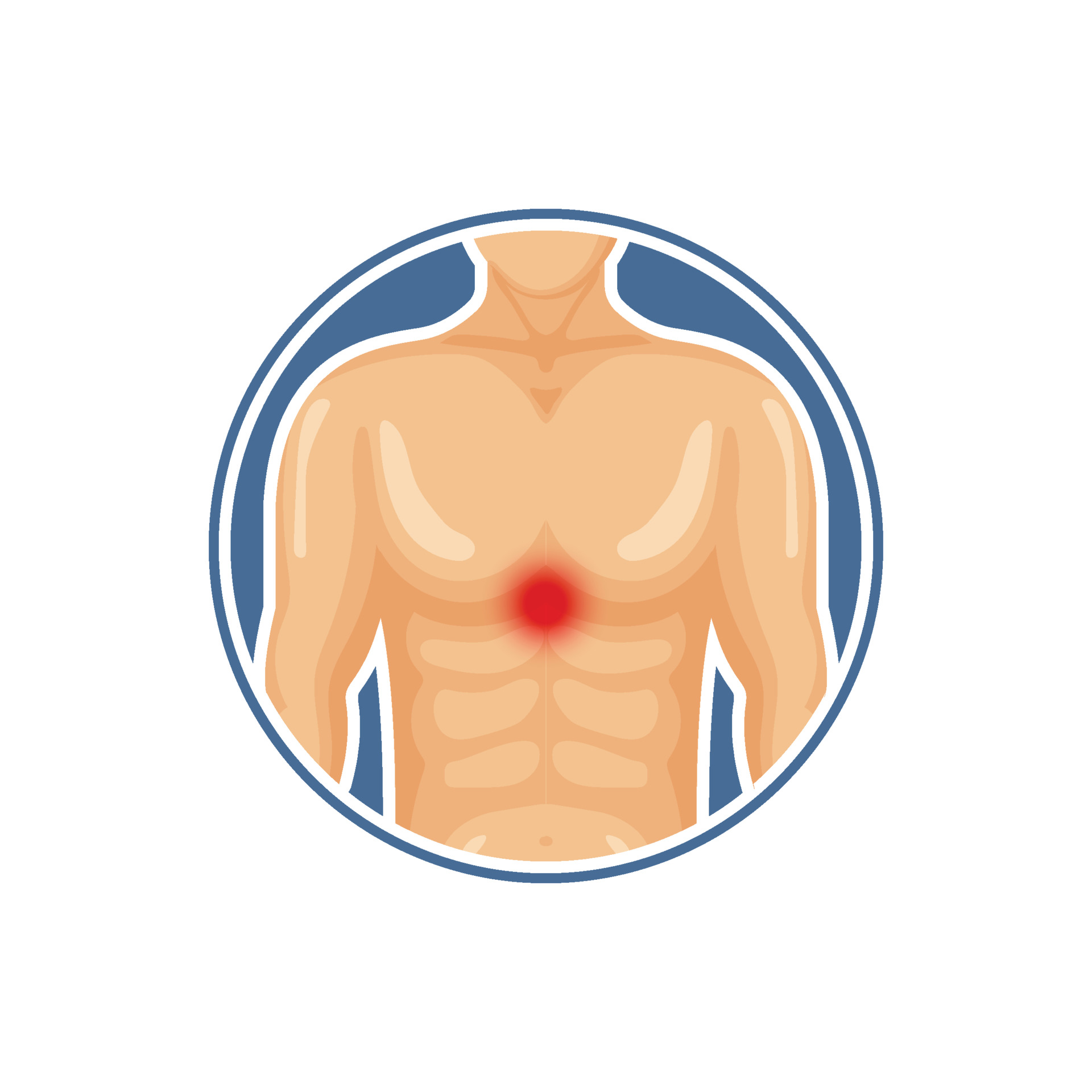 Detail Der Mensch Anatomie Nomer 14