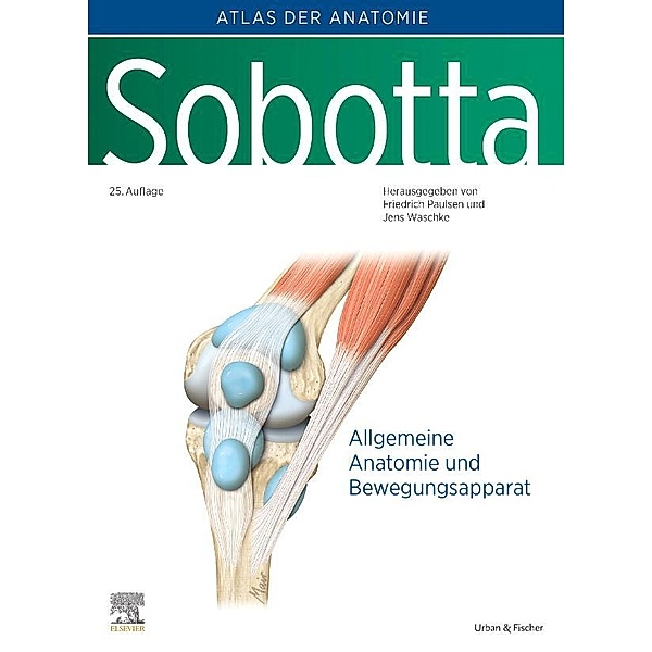 Detail Der Mensch Anatomie Nomer 15
