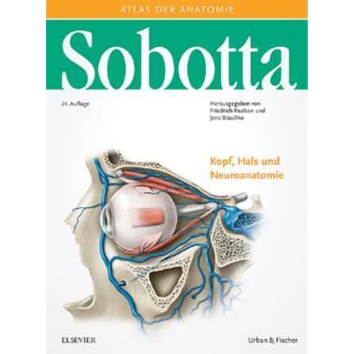 Detail Der Mensch Anatomie Nomer 16