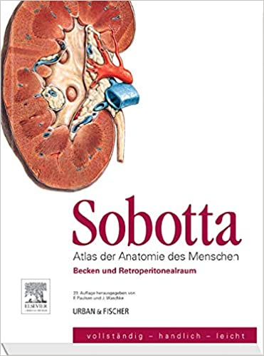 Detail Der Mensch Anatomie Nomer 18