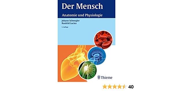Detail Der Mensch Anatomie Nomer 3