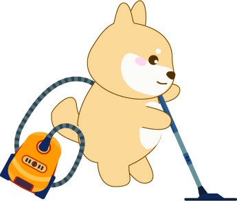 Shiba Inu Mops Mischling - KibrisPDR