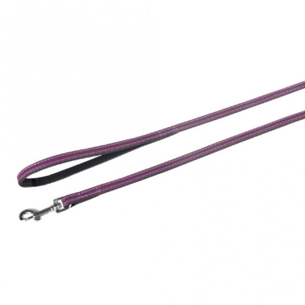 Detail Shiba Inu Mops Mischling Nomer 12