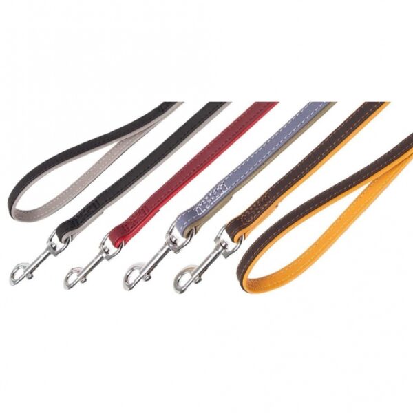 Detail Shiba Inu Mops Mischling Nomer 5