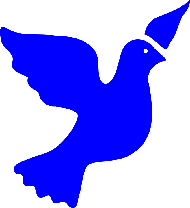Detail Taube Frieden Nomer 21