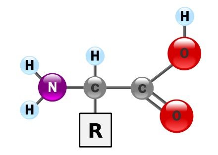Detail Triglycerid Strukturformel Nomer 9