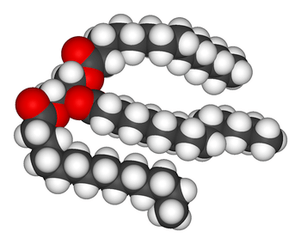 Detail Triglycerid Strukturformel Nomer 11