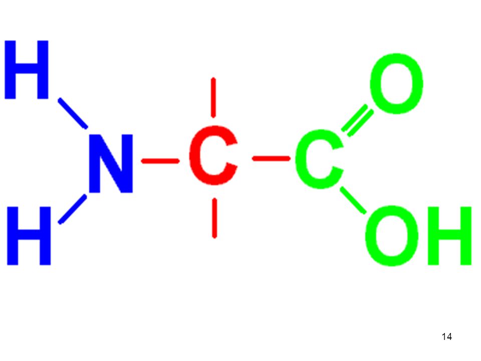 Detail Triglycerid Strukturformel Nomer 2