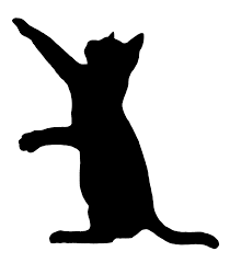 Detail Schattenbild Katze Nomer 5