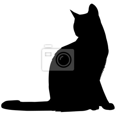 Detail Schattenbild Katze Nomer 6